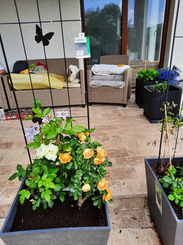 Pavaj Travertin Noce